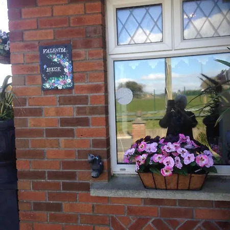 Valentia House Arklow