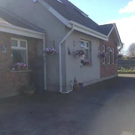 Pensjonat Valentia House Arklow